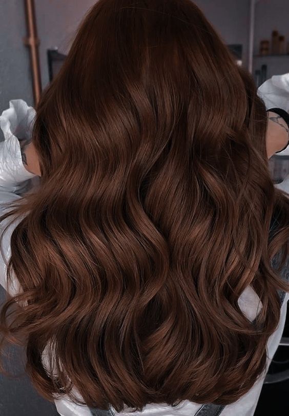 CHAMPU CUBRE CANAS ORIGINAL